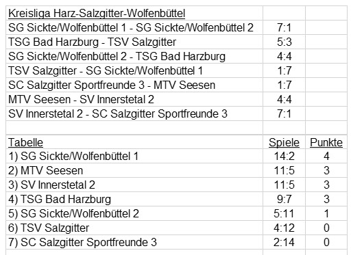 Badmintonsaison 2024 / 2025 erfolgreich gestartet