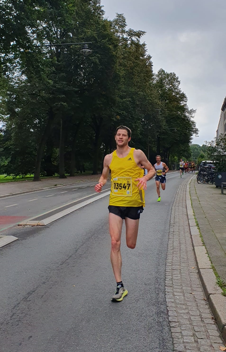 LM10k Ole